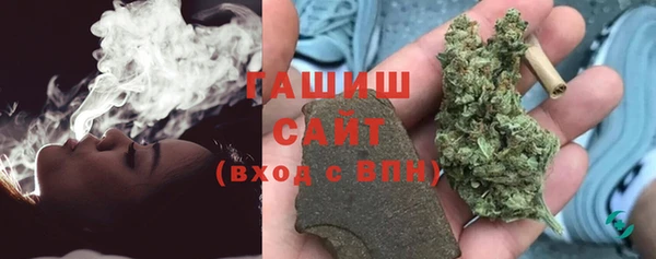 сатива Армянск