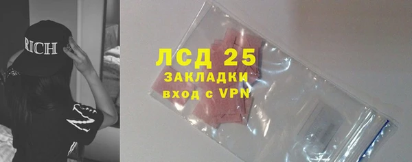 сатива Армянск