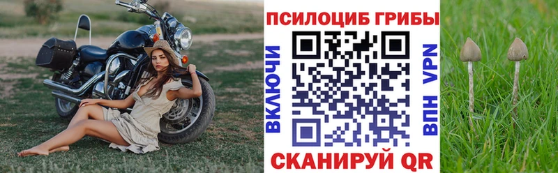 Псилоцибиновые грибы Cubensis  наркотики  Отрадный 